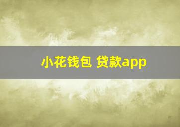 小花钱包 贷款app